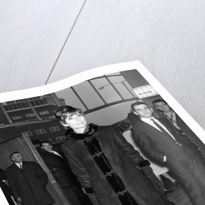 Audrey Hepburn by Staff