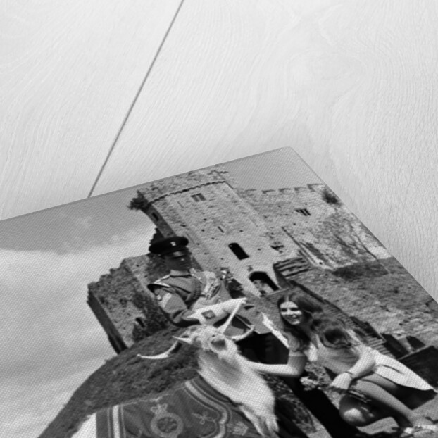 Cardiff Castle, 1969. by Ron Harding