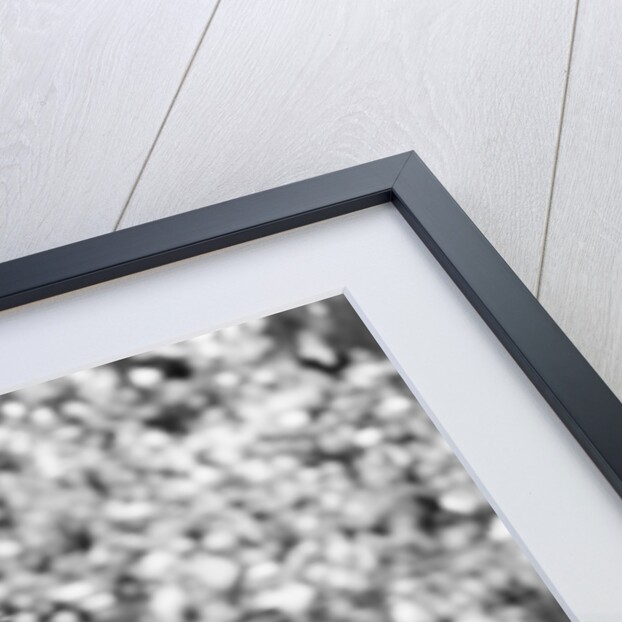 Tottenham 1987 by Allan Olley & Brian Randle