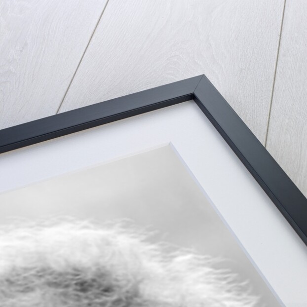 Gene Wilder by Mike Maloney