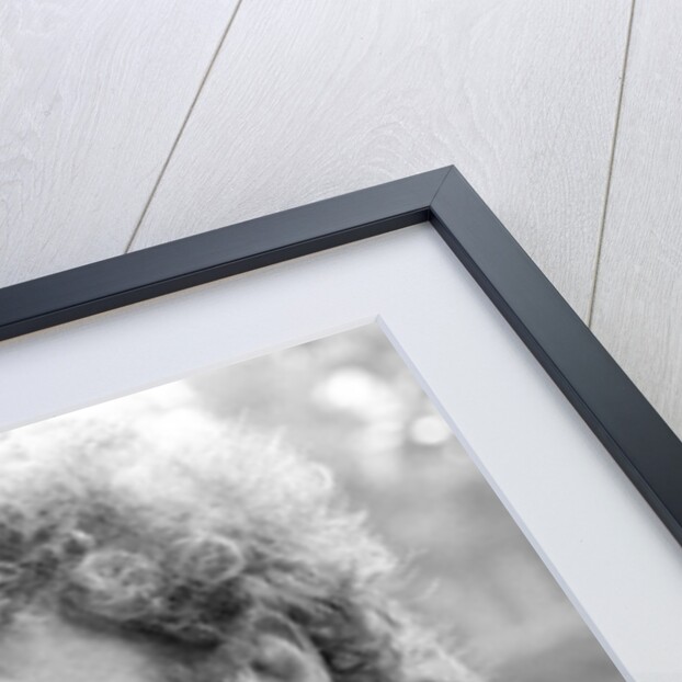 Gene Wilder by Mike Maloney