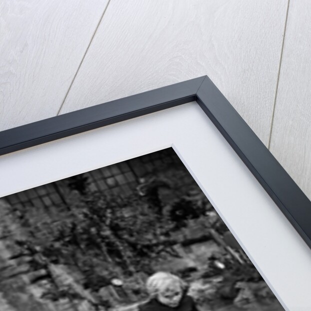 Willy Wonka & the Chocolate Factory by Arthur Sidey