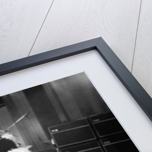 Freddie Mercury by Bill Rowntree