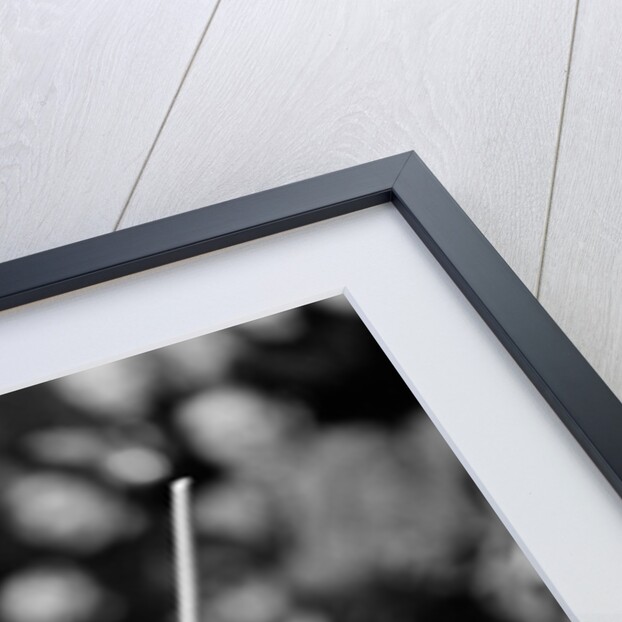 Embassy World Professional Snooker Championship by Phil Spencer