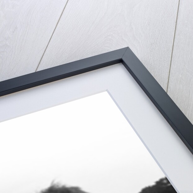 Haymaking at Penshurst July 1939 by Bernard Alfieri