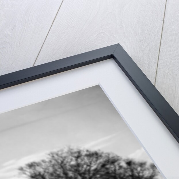 Almshouses, Northchurch, 1943 by George Greenwell