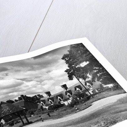 Village green at Tewin by Staff