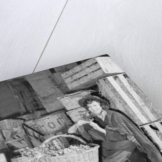 Pygmalion by Harold Tomlin