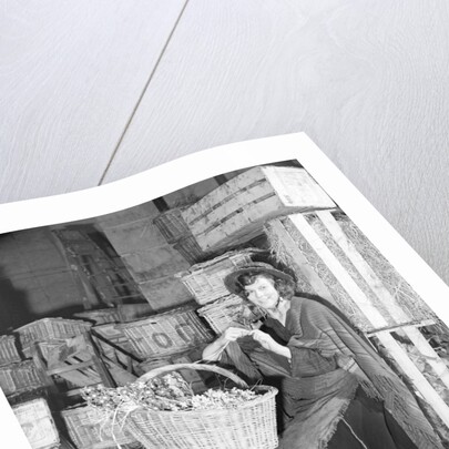 Pygmalion by Harold Tomlin