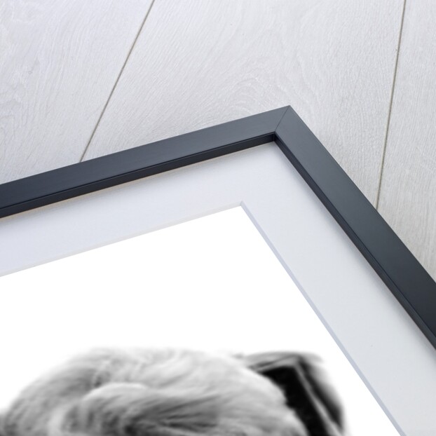 June Whitfield 1967 by Staff