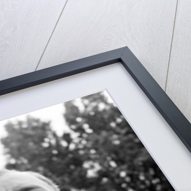 Our Man in Havana by Julie Hamilton