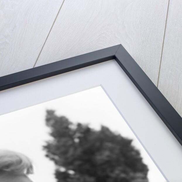 Our Man in Havana by Julie Hamilton