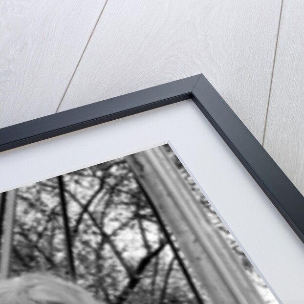 Cilla Black at a playground in May 1964 by Harry Fox