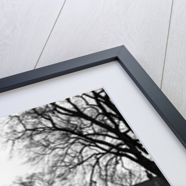 Cheshunt, Hertfordshire, 1968. by Young