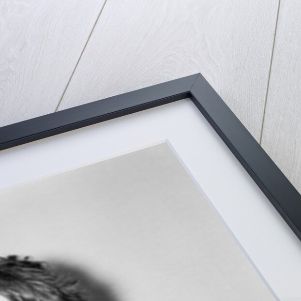 Rolling Stones 1964 by Frank Charman