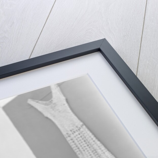 Twiggy by Doreen Spooner