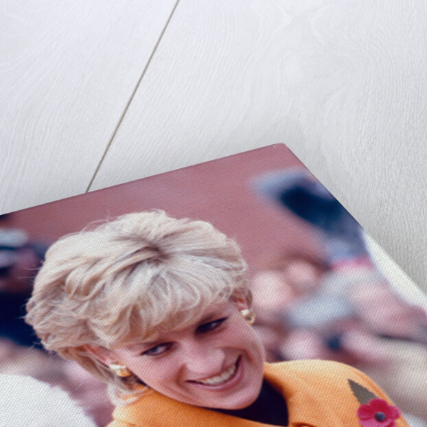 Princess Diana 1995 by Liverpool Echo