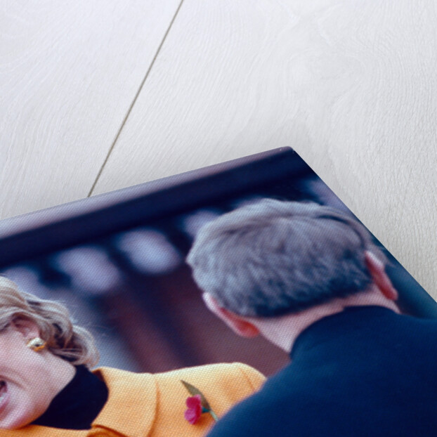 Princess Diana 1995 by Martin Birchall