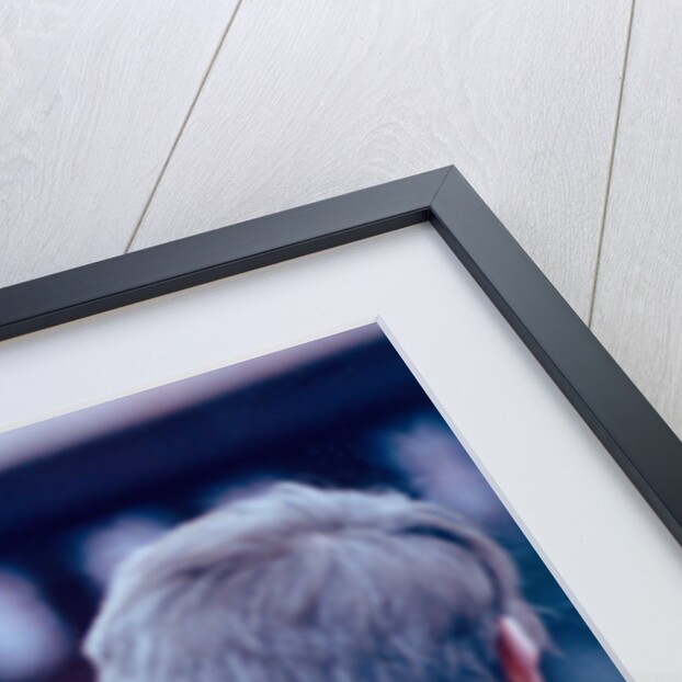 Princess Diana 1995 by Martin Birchall