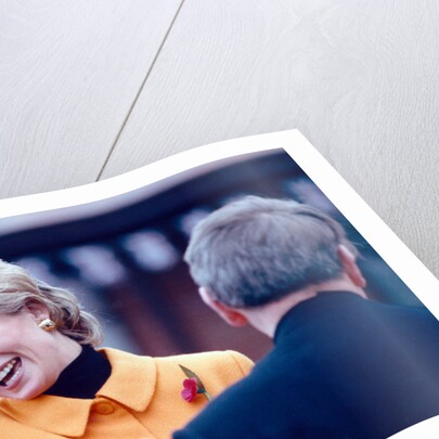 Princess Diana 1995 by Martin Birchall