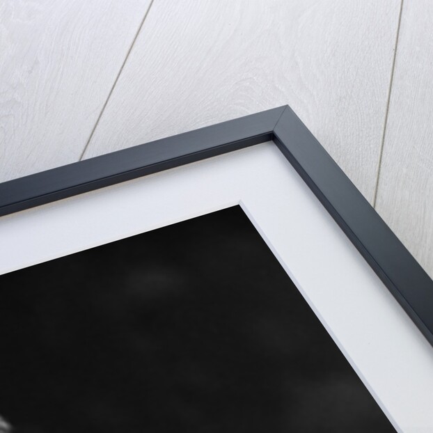 Stones at the NME Awards 1965 by Alisdair MacDonald and Kent Gavin