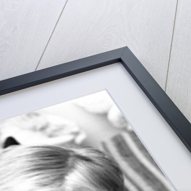 George Best and his girlfriend Angela Macdonald-James by Kent Gavin