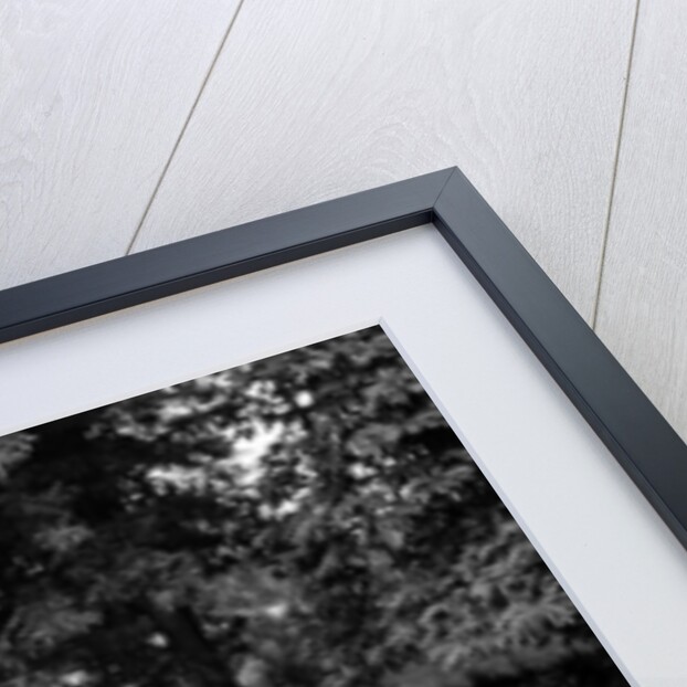 Dick Van Dyke and Sally Ann Howes with Chitty Chitty Bang Bang by Victor Crawshaw