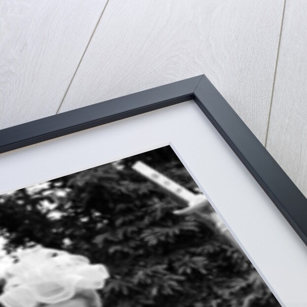 Dick Van Dyke and Sally Ann Howes with Chitty Chitty Bang Bang by Victor Crawshaw