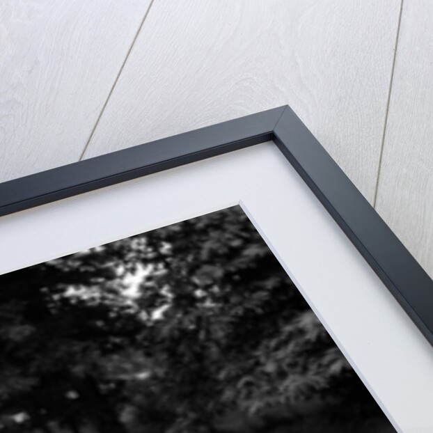 Dick Van Dyke and Sally Ann Howes with Chitty Chitty Bang Bang by Victor Crawshaw