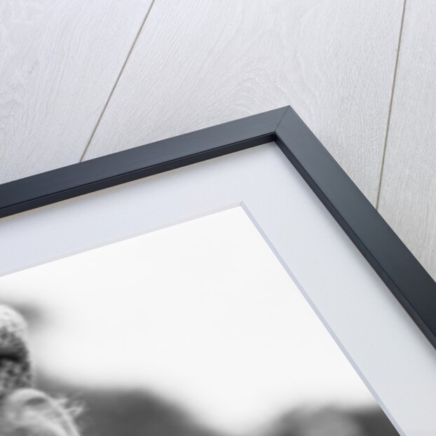 A Milligan for all seasons TV Series by Ron Burton