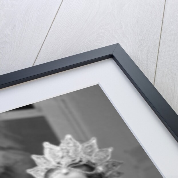 Darcey Bussell by Andrew Fox