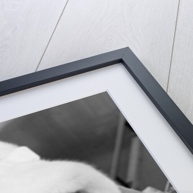 Comedienne Phyllis Diller by Vic Crawshaw