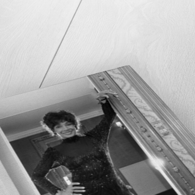 Shirley Bassey by Wilkinson