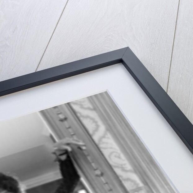 Shirley Bassey by Wilkinson