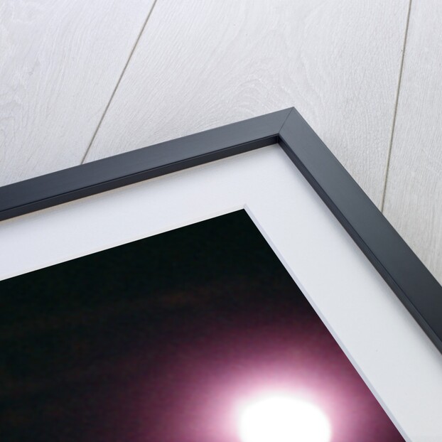 Red Hot Chili Peppers by Staff