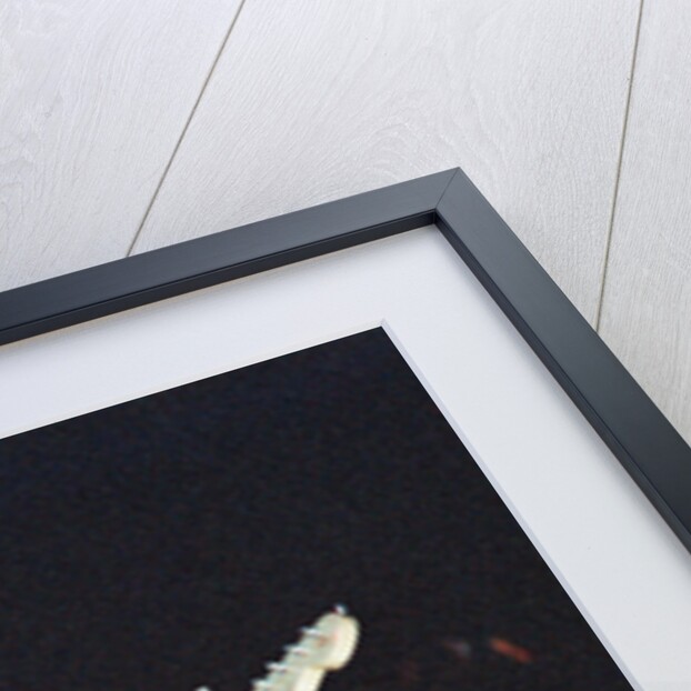 Red Hot Chili Peppers by Staff