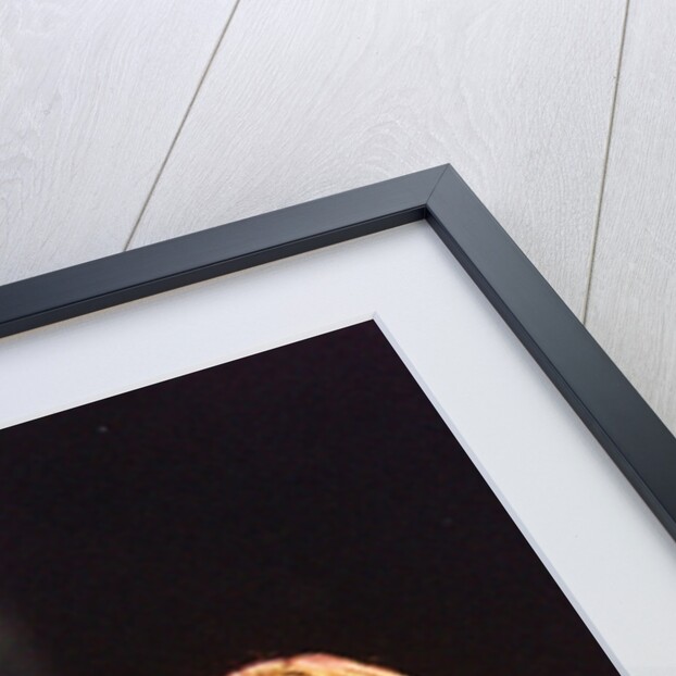 Red Hot Chili Peppers by Staff