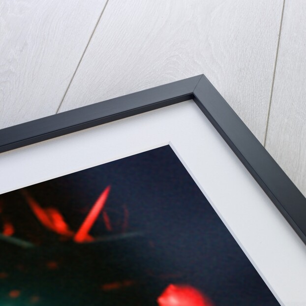 Red Hot Chili Peppers by Staff