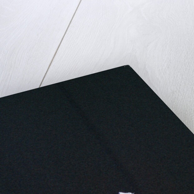 Red Hot Chili Peppers by Staff