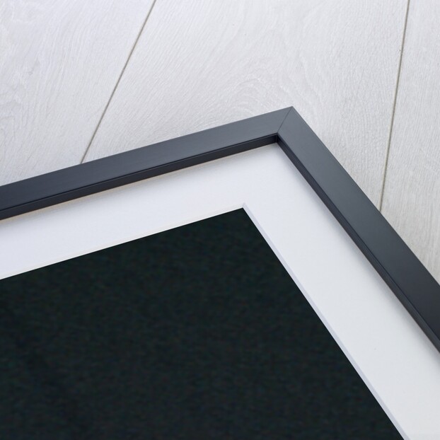 Red Hot Chili Peppers by Staff