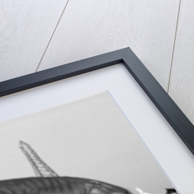 Dinosaur on the move in Kent by Ron Burton