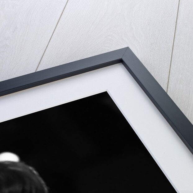 Petula Clark by Wilson