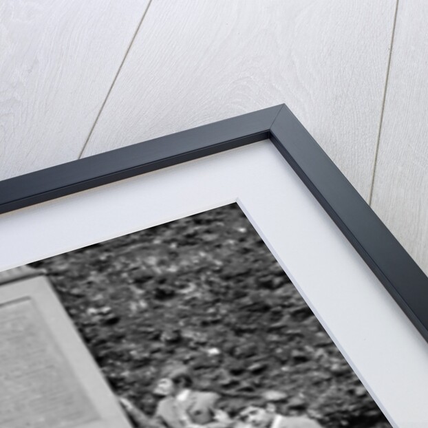 The Amboy Dukes pictured at Reading Abbey Ruins, Berkshire, in 1968. by Staff