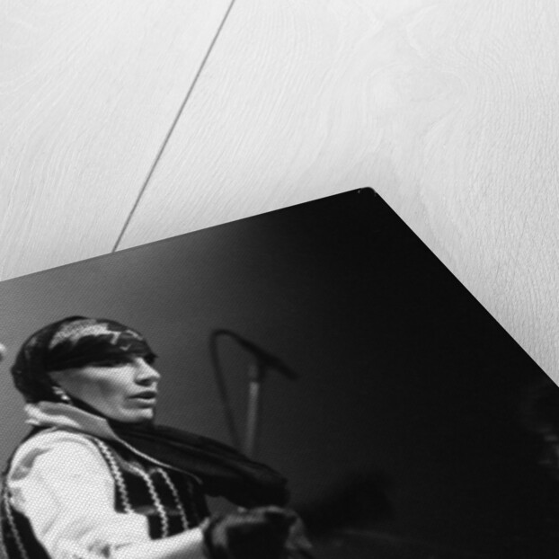 The Tourist Reading Rock Festival 1979 by Staff