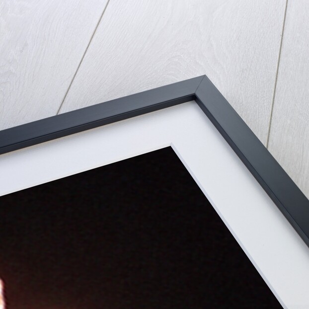 David Bowie performing at The Big Twix Mix concert at The Birmingham NEC. by Staff