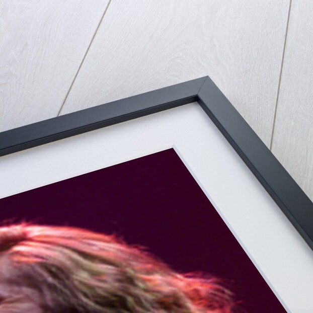 DAVID BOWIE GLASTONBURY FESTIVAL 2000 by Helen Atkinson