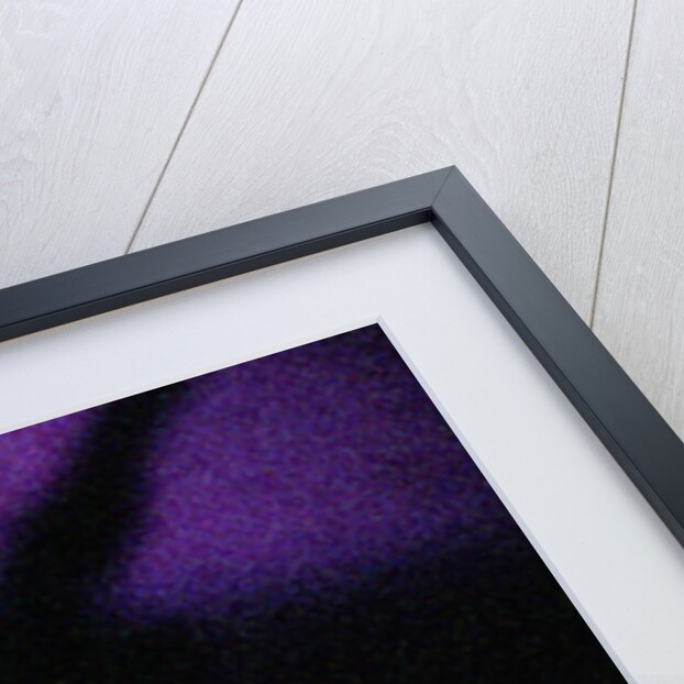 David Bowie performing on stage at The Barrowlands in Glasgow. Scotland. by John Gunion