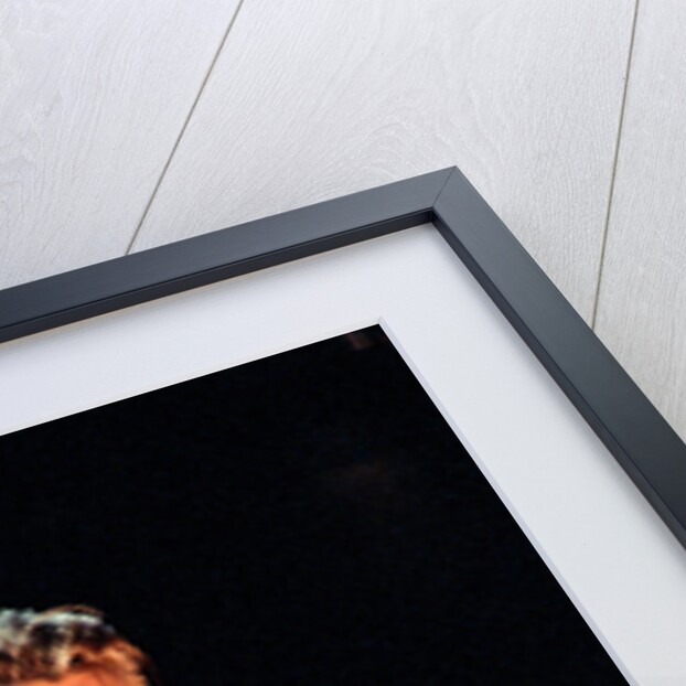 David Bowie performing at The Birmingham NEC, as part of his 1990 Sound and Vision World Tour. by Dick Williams