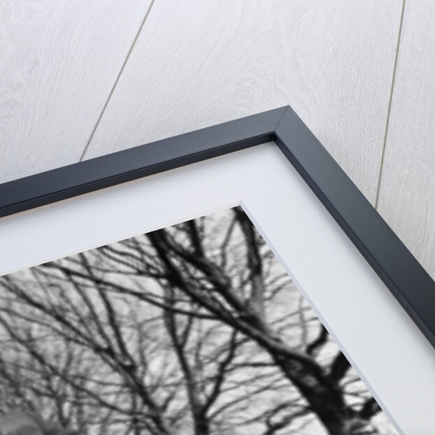 Battersea Easter Parade by Zola