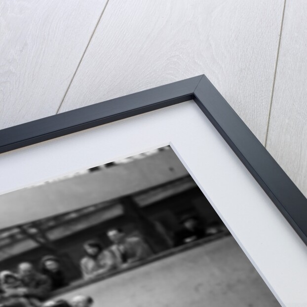 Emperor Penguin at London Zoo, 1950 by Staff